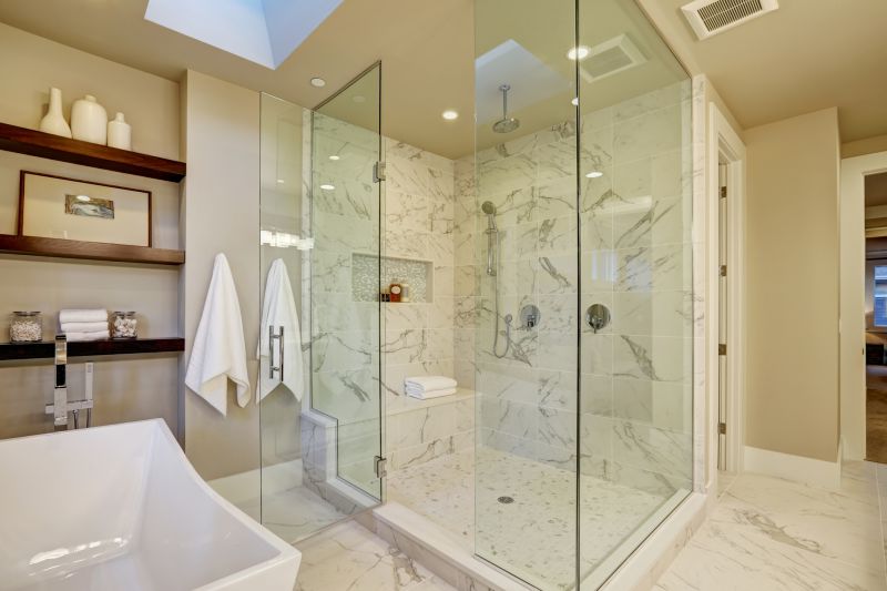 Elegant Shower and Tub Combo